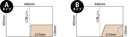 ecoポケットファイルAタイプとBタイプ