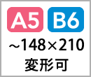 A5,B6