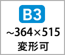 B3