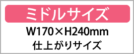 ミドルサイズ