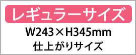 レギュラーサイズ